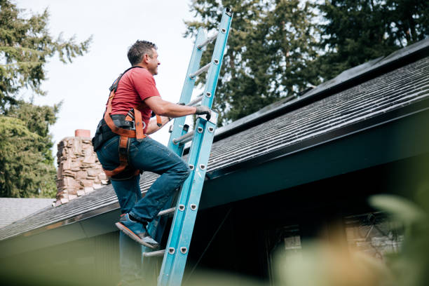 Steel Roofing in Dortches, NC